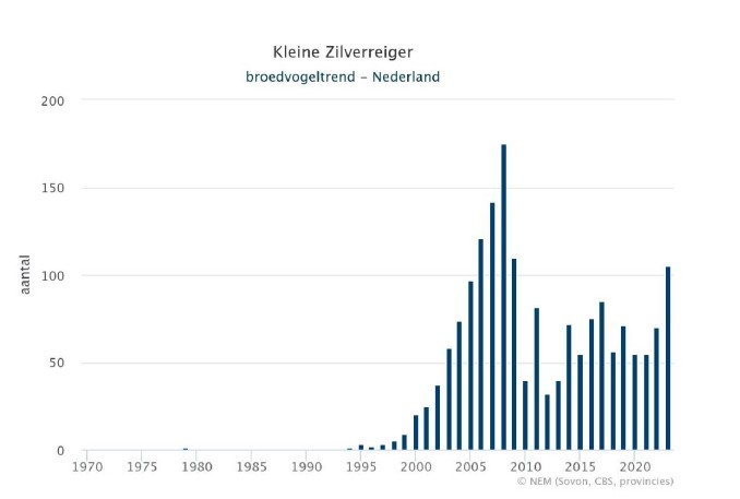 Hoeveel kleine zilverreigers zijn er in Nederland gezien?